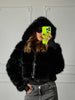 Pelliccia Ginevra - Dverso Fashion